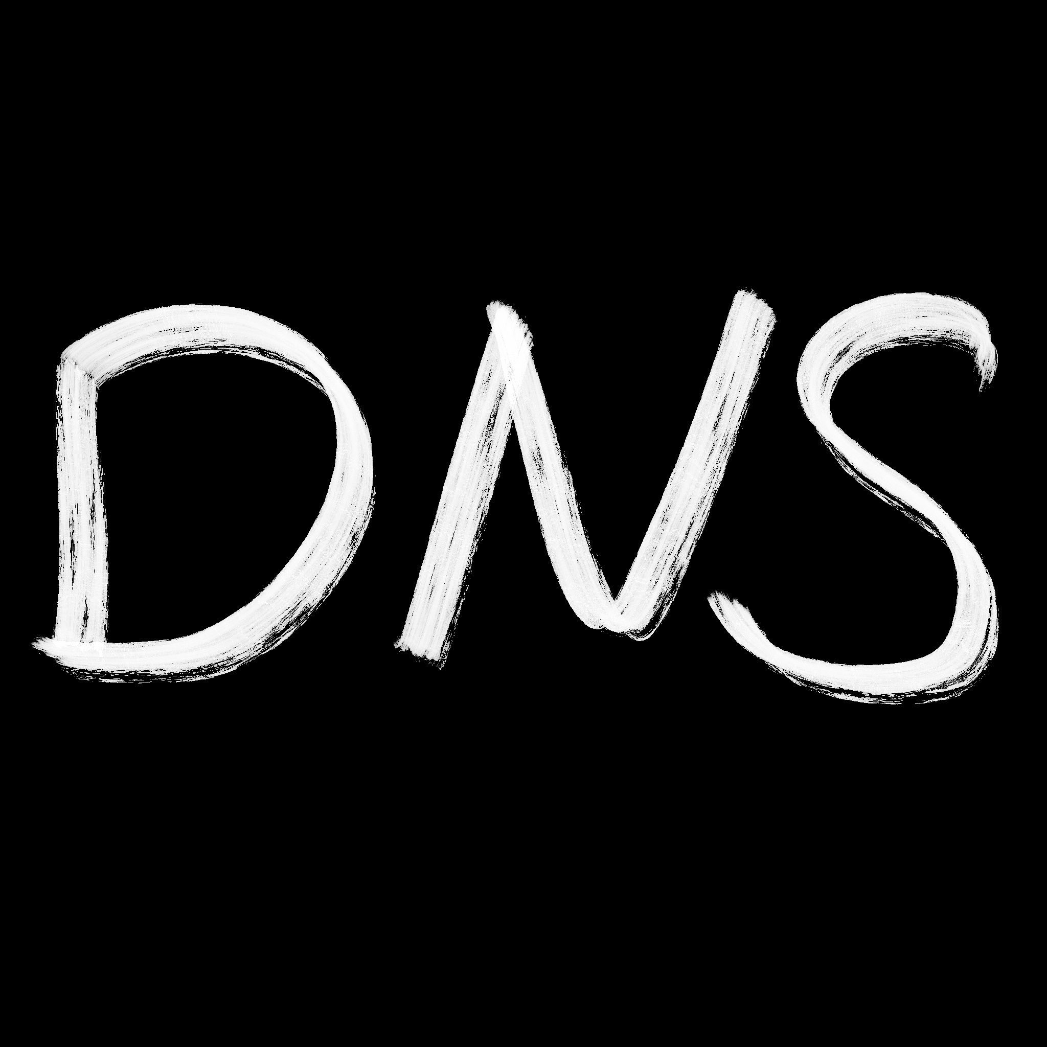 DNS System